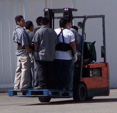 forklift recklessness